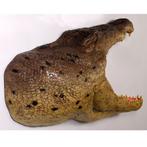 Krokodil voor aan de muur 128 cm - krokodillen decoratie, Verzamelen, Dierenverzamelingen, Ophalen, Nieuw, Overige typen