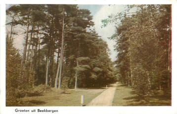 (381-191-015) Beekbergen Groeten uit beschikbaar voor biedingen