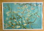 Van Gogh bloesem - IKEA BJÖRKSTA, Nieuw, Ophalen of Verzenden, Print, 100 tot 125 cm