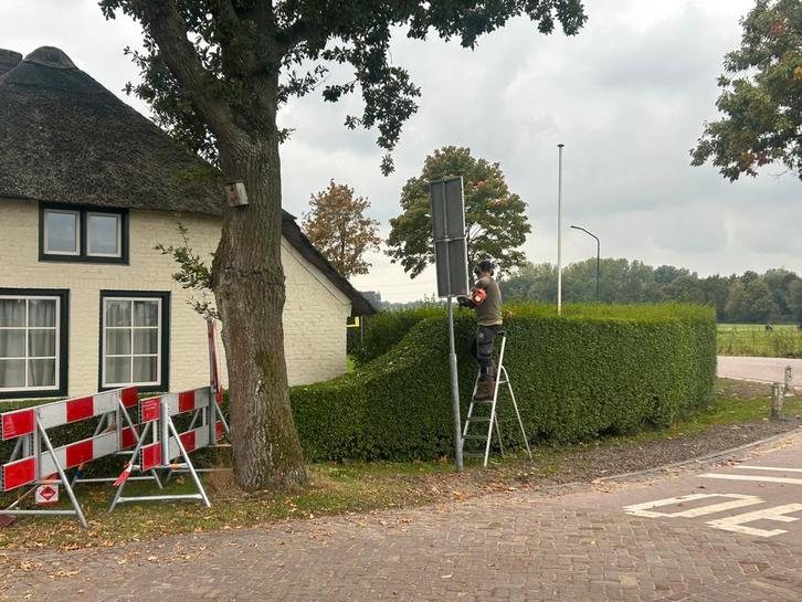Tuinman Oisterwijk aangeboden, Tuin en Terras, Planten | Bomen, Overige soorten, Minder dan 100 cm, Volle zon, Zomer, Ophalen