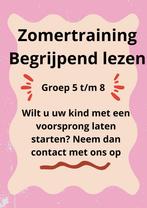 Zomertraining begrijpend lezen, Bijles