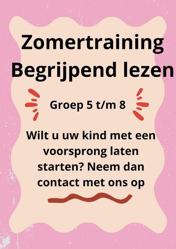 Zomertraining begrijpend lezen beschikbaar voor biedingen