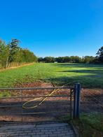 Omheining, Ophalen of Verzenden, Zo goed als nieuw, 110 cm of meer, 100 cm of meer