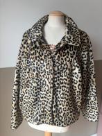 Panter jas maat M, Ophalen of Verzenden, Zo goed als nieuw, Maat 38/40 (M), Carnaval