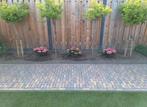 Gratis  6.2 m2 genuanceerde   klinkers waaltjes, Tuin en Terras, Tegels en Klinkers, Ophalen, Gebruikt