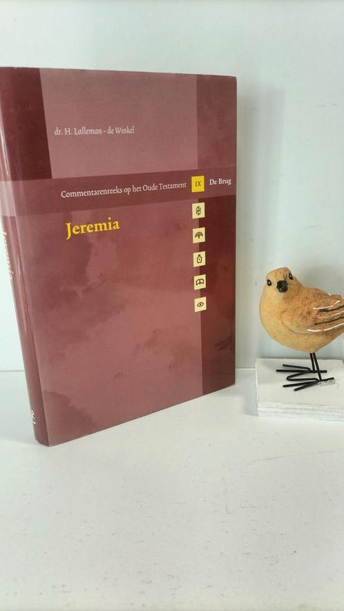 De Brug  (Commentarenreeks OT); Dr. H.  Lalleman – de Wink:, Boeken, Godsdienst en Theologie, Gelezen, Christendom | Protestants