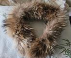 Bontkraag /bontsjaal echt bont ( wasbeer), Ophalen, Zo goed als nieuw, Maat 46/48 (XL) of groter, Sjaal