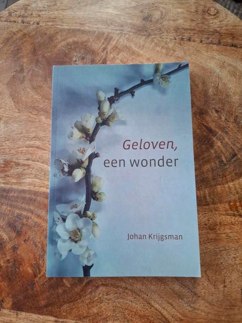 Geloven, een wonder, Boeken, Godsdienst en Theologie, Zo goed als nieuw, Ophalen of Verzenden