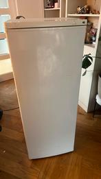 No Frost vriezer (Defect), Gebruikt, 160 cm of meer, Ophalen, Vrieskast