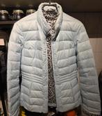 Fornarina winterjas, Maat 46/48 (XL) of groter, Fornarina, Ophalen of Verzenden, Zo goed als nieuw