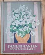 Plaatsjesalbum Verkade Kamerplanten 1928, Ophalen of Verzenden, Gelezen, A.J. van Laren, Plaatjesalbum