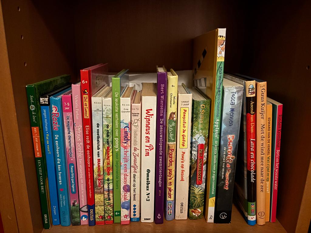 Leesboeken AVI en overig leeftijd 6 plus  7 plus  8 plus, Boeken, Ophalen, Zo goed als nieuw, Geronimo Stilton, Fictie algemeen