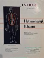 Map met platen van het menselijk lichaam, leermiddel, Diversen, Schoolbenodigdheden, Ophalen, Gebruikt