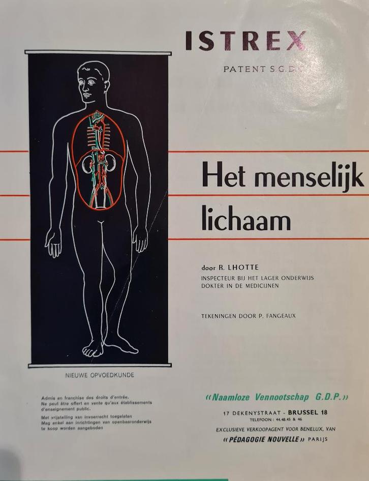 Map met platen van het menselijk lichaam, leermiddel, Diversen, Schoolbenodigdheden, Gebruikt, Ophalen