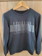 Armani sweater, Kleding | Dames, Truien en Vesten, Blauw, Ophalen of Verzenden, Zo goed als nieuw, Armani