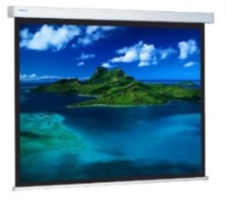 elektrisch projectiescherm Projecta, Audio, Tv en Foto, Projectieschermen, Zo goed als nieuw, Elektrisch, Ophalen