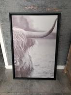 Schotse Hooglander Print met Zwarte Lijst, Huis en Inrichting, Ophalen of Verzenden, Zo goed als nieuw, Print
