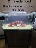 Zoutwater aquarium, Dieren en Toebehoren, Vissen | Aquaria en Toebehoren, Verzenden, Nieuw, Leeg aquarium