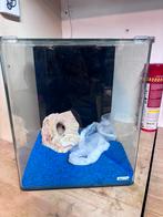 Aquarium NanoCube Dennerle, Dieren en Toebehoren, Ophalen, Zo goed als nieuw, Terrarium of Paludarium