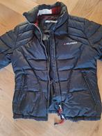 Tommy Hilfiger dames winterjack., Ophalen of Verzenden, Zo goed als nieuw, Maat 36 (S), Blauw