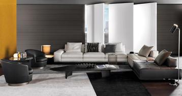 Minotti Dibbets Flag Dioganal vloerkleed 3x5m showmodel 2023