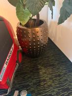 Prachtige eric kuster pot met plant, Ophalen, Overige kleuren, 50 tot 75 cm, Aardewerk of Porselein