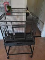Grote vogelkooi, Ophalen, Zo goed als nieuw, Metaal, Vogelkooi