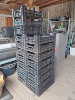 Kratten ~50 stuks 2,50 per krat, Doe-het-zelf en Verbouw, Kratten en Dozen, Ophalen, Gebruikt, 40 tot 60 cm, 50 tot 75 cm