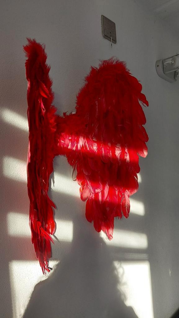 Rode veren vleugels - Kostuum Accessoire, Kleding | Dames, Carnavalskleding en Feestkleding, Zo goed als nieuw, Accessoires, Carnaval
