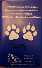 Lief hondje zoekt nieuw thuis, Boeken, Ophalen of Verzenden