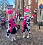 Stoelen, Kleding | Dames, Ophalen, Zo goed als nieuw, Carnaval