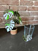 Onderzetter plant, Ophalen of Verzenden, Nieuw, Glas of Kopje
