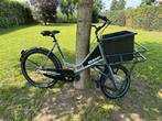 Superleuke Bakfiets Transportfiets Hondenfiets, Fietsen en Brommers, Fietsen | Bakfietsen, Ophalen, Nieuw, Goederen