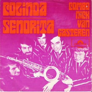 Vinylsingle combo nick van gasteren gezocht  beschikbaar voor biedingen