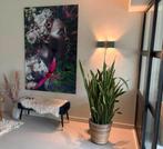 Prachtig groot schilderij van Whoon (oisterwijk) plexiglas, Ophalen of Verzenden