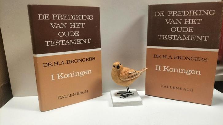 Brongers, Dr. H.A.; 1 en 2 Koningen  (POT, Boeken, Godsdienst en Theologie, Gelezen, Christendom | Protestants, Ophalen of Verzenden