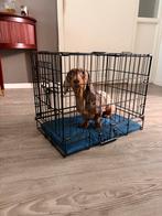 Kleine bench/ voor kleine honden of puppy’s, Dieren en Toebehoren, Ophalen, Zo goed als nieuw