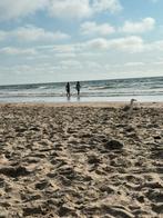 Camping Bakkum, Ophalen, Gebruikt