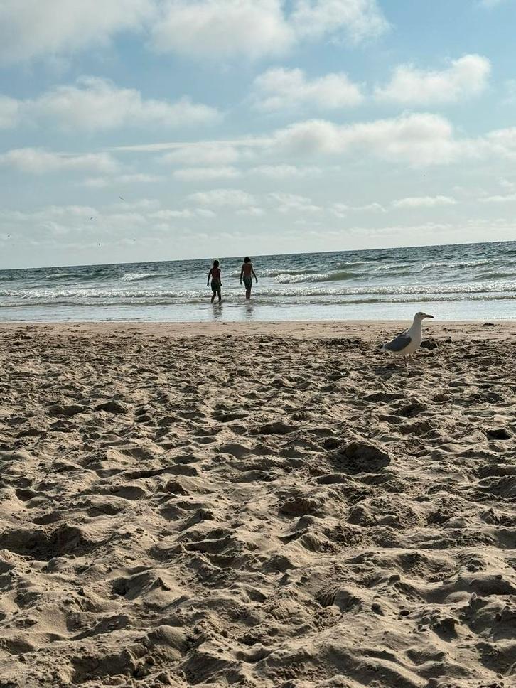 Camping Bakkum, Caravans en Kamperen, Kampeeraccessoires, Gebruikt, Ophalen