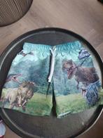 H&M Dino Zwembroek Maat 110/116, H&M, Ophalen of Verzenden, Zo goed als nieuw, Maat 110