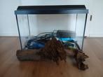 Juwel aquarium 70 liter, Ophalen, Zo goed als nieuw, Leeg aquarium