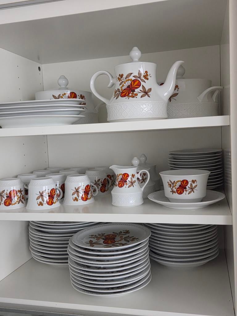 Vintage Servies met Bloemenmotief, Ophalen of Verzenden