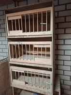 Broedbakken 3 hoog, Dieren en Toebehoren, Vogels | Duiven, Postduif