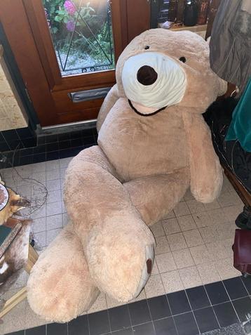 XXL knuffelbeer/chill beer zoekt een knuffelaar  beschikbaar voor biedingen