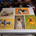 Honden ansichtkaarten., Ophalen of Verzenden, Hond of Kat