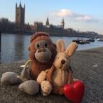 Gezocht: Bukowski haasje in hansopje, Kinderen en Baby's, Speelgoed | Knuffels en Pluche, Ophalen of Verzenden, Zo goed als nieuw