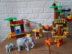 Duplo tropisch eiland.  Grote uitgebreide set., Kinderen en Baby's, Speelgoed | Duplo en Lego, Ophalen of Verzenden, Duplo