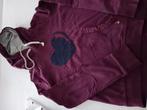 Leuke bordeaux hoodie van tommy hilfiger, Kleding | Dames, Maat 38/40 (M), Ophalen of Verzenden, Gedragen, Rood