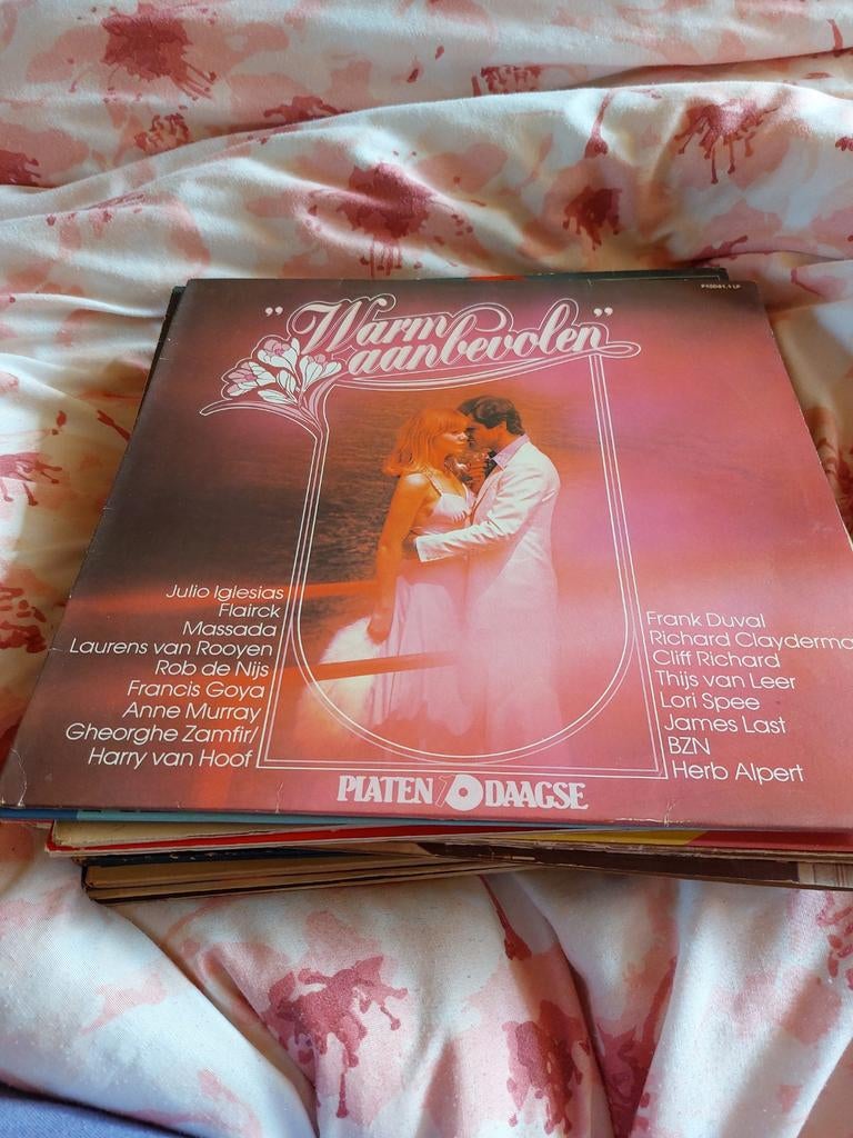 Warm Aanbevolen, Ophalen of Verzenden, Zo goed als nieuw, 12 inch, Pop