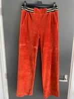 Joggingbroek, Maat 38/40 (M), Nieuw, Oranje, Ophalen of Verzenden